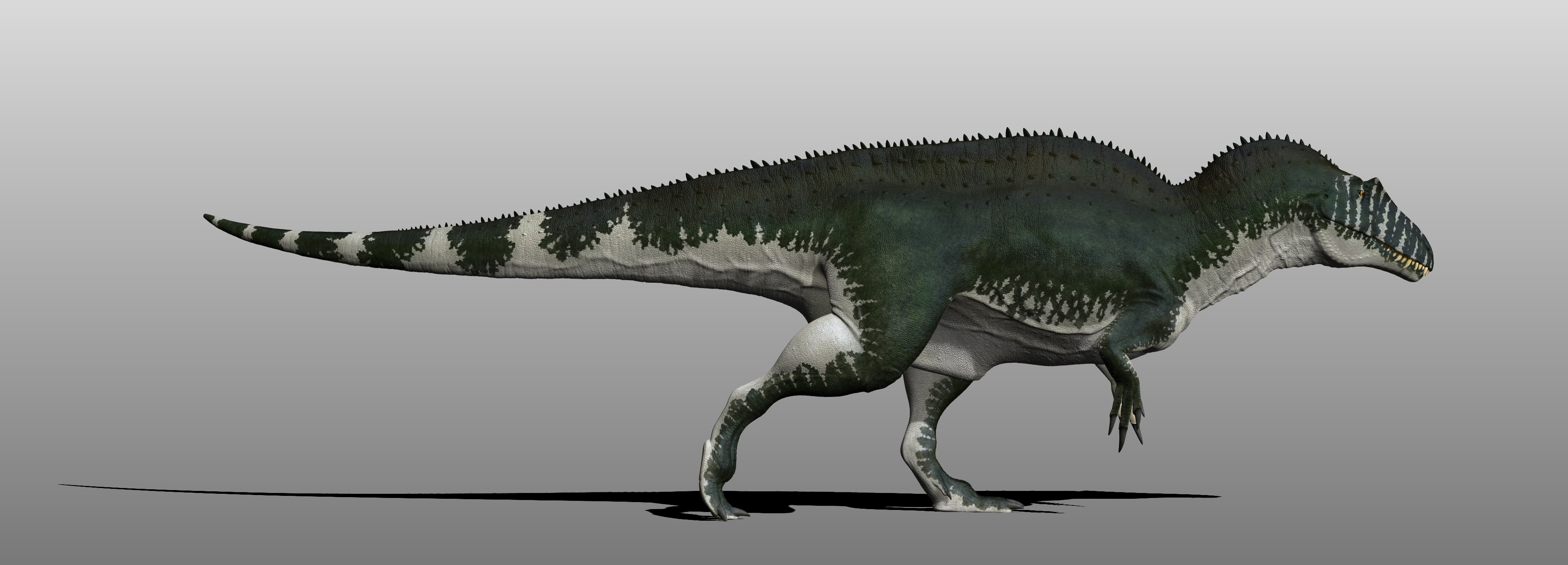 Acrocanthosaurus2nd